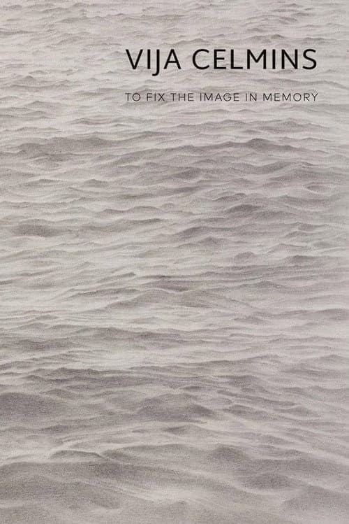 Vija Celmins: To Fix the Image in Memory poster