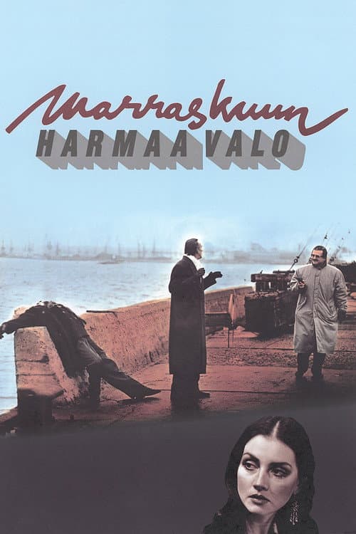 Marraskuun harmaa valo poster