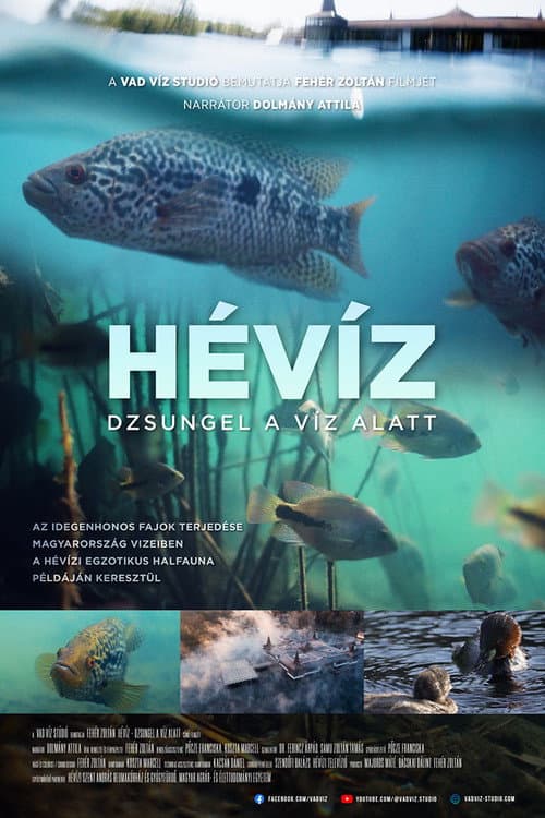 The Underwater Jungle poster