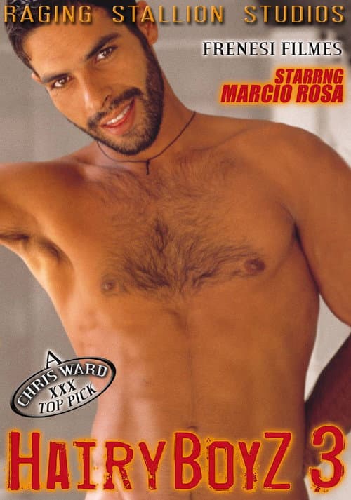 Hairy Boyz 3 poster