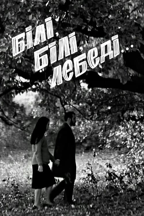 White, white swans... poster