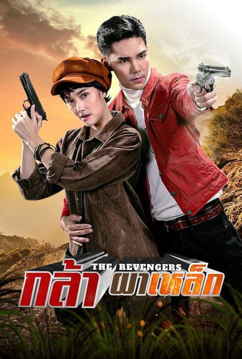 The Revengers poster
