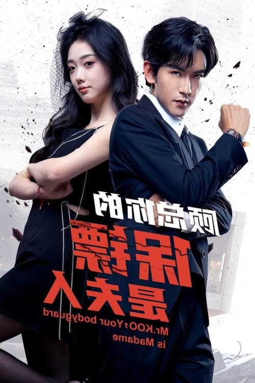 顾总你的保镖是夫人 poster