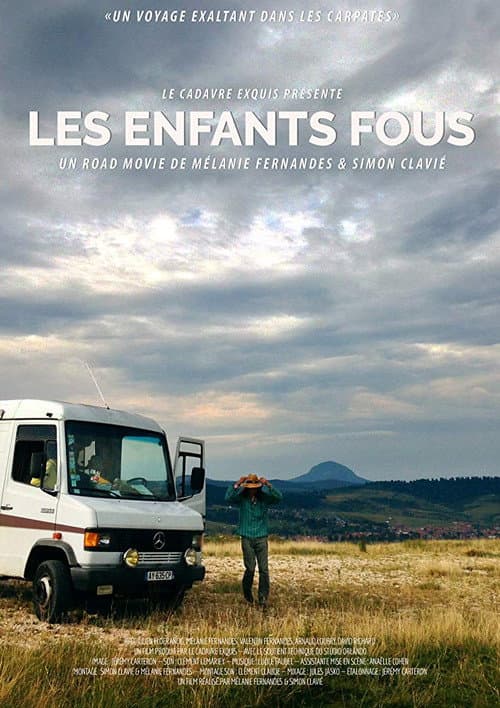 Les enfants fous poster