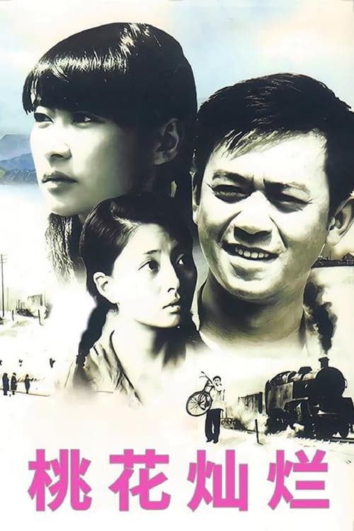 Tao Hua Can Lan poster
