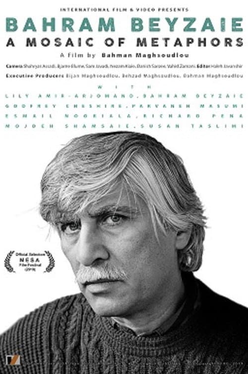 Bahram Beyzaie: A Mosaic of Metaphors poster