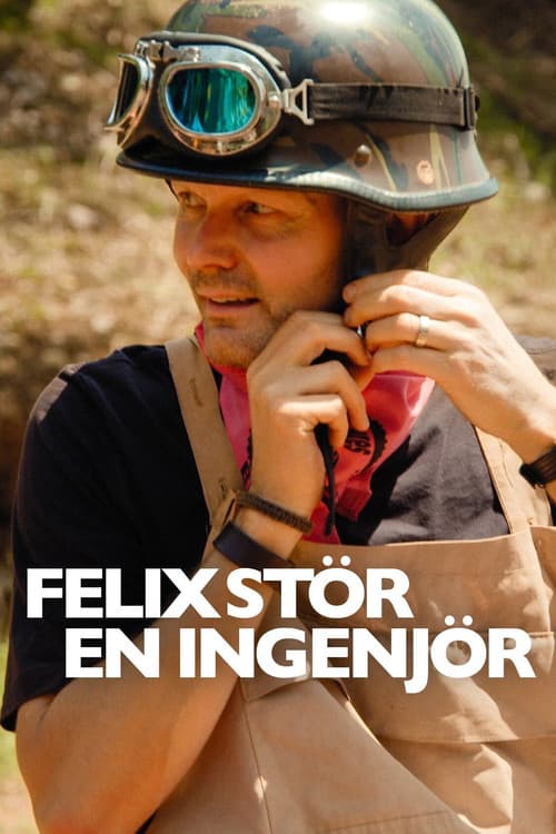 Felix stör en ingenjör poster