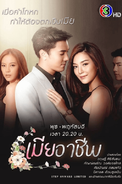 Perfect Wife poster