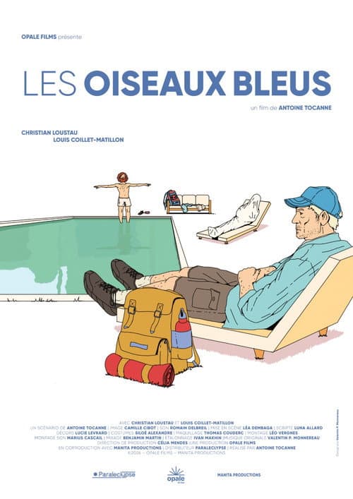 Blue birds poster