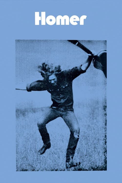 Homer poster
