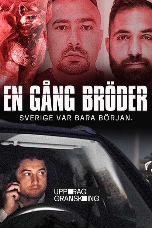 Mission: Investigate – Once Brothers poster