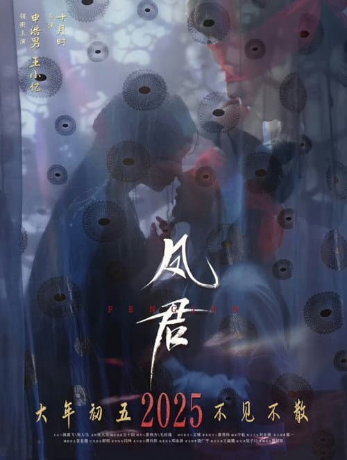 凤君 poster