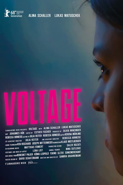 Voltage poster