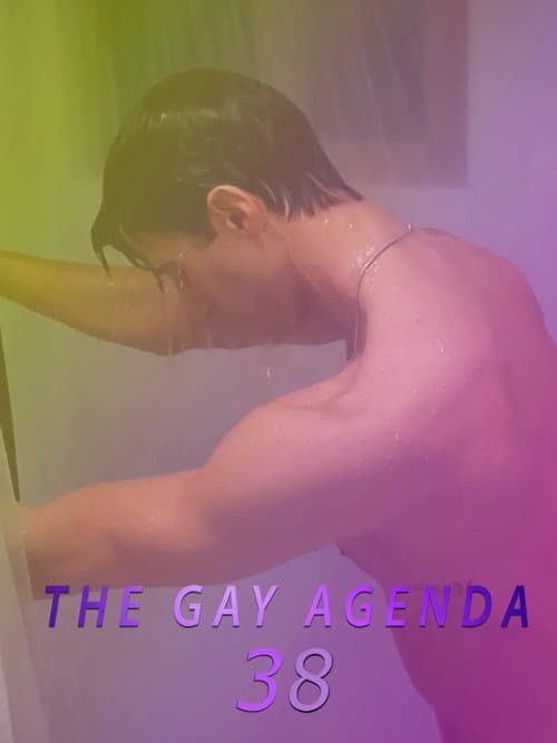 The Gay Agenda 38 poster