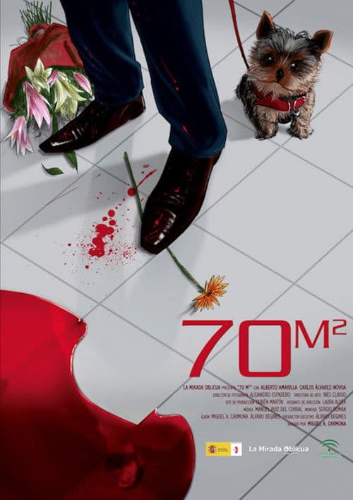 70m2 poster