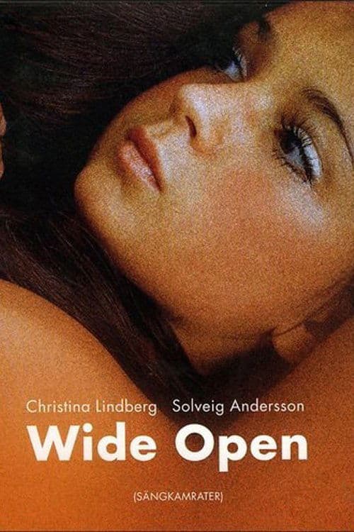 Wide Open poster