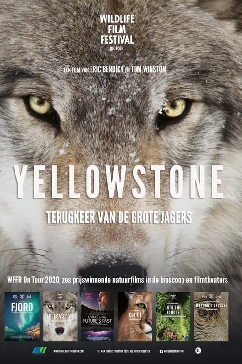 Yellowstone poster