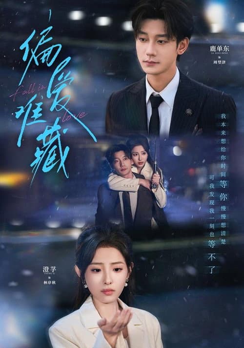 偏爱难藏 poster