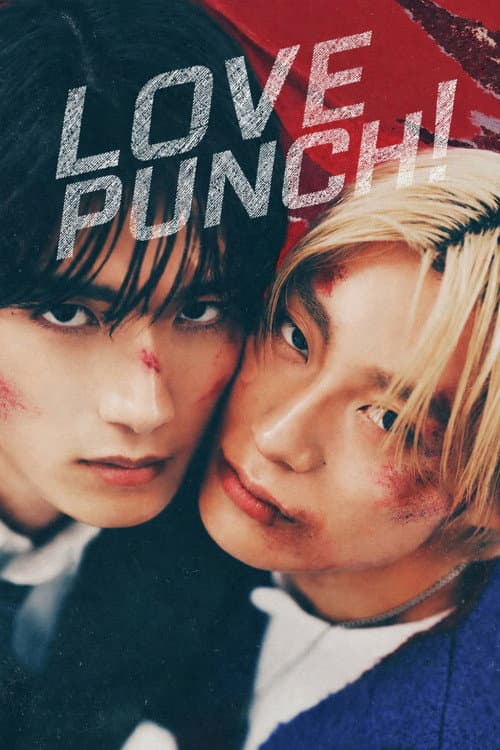 Love Punch! poster