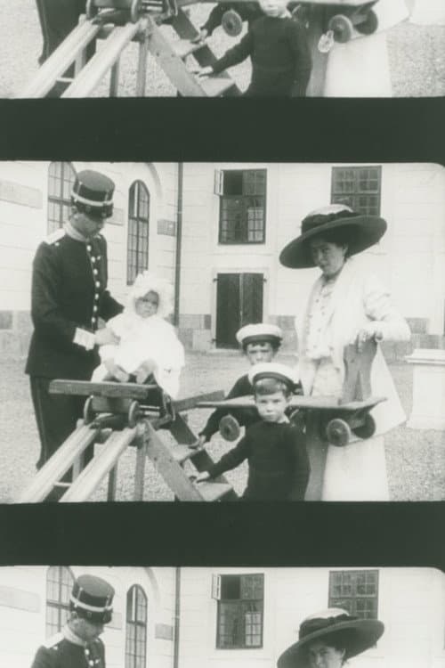 The Crown Prince Couple at Drottningholm poster