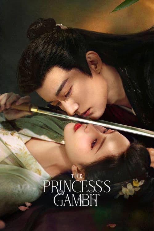 The Princess's Gambit poster