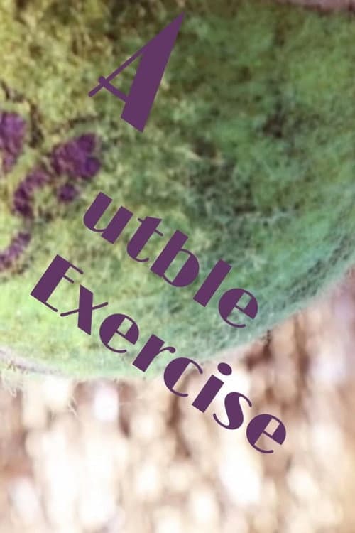 A Subtle Exercise poster