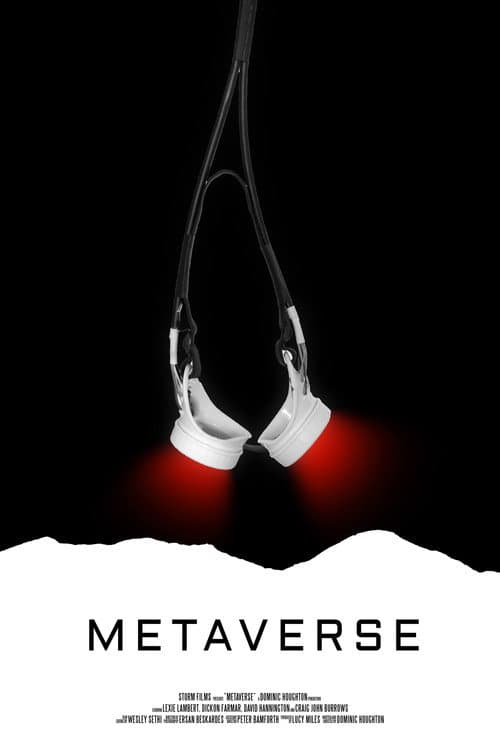 Metaverse poster