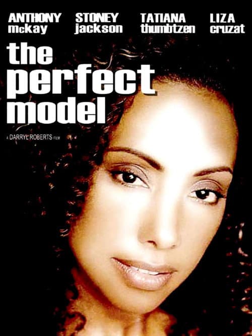 The Perfect Model poster
