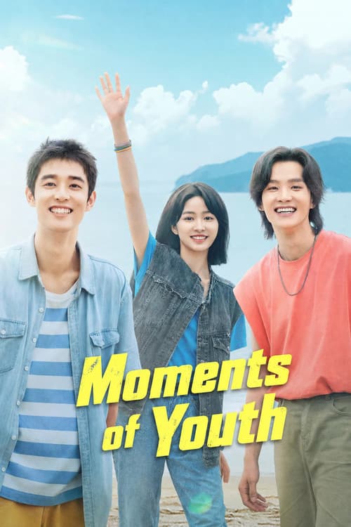 Moments of Youth poster