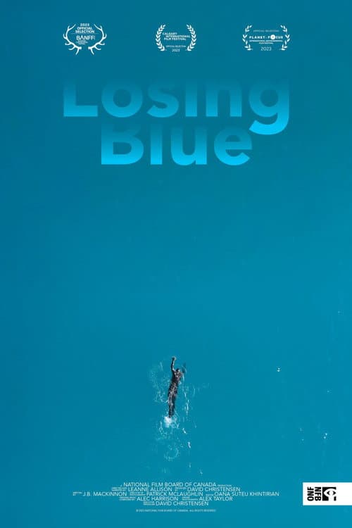 Losing Blue poster