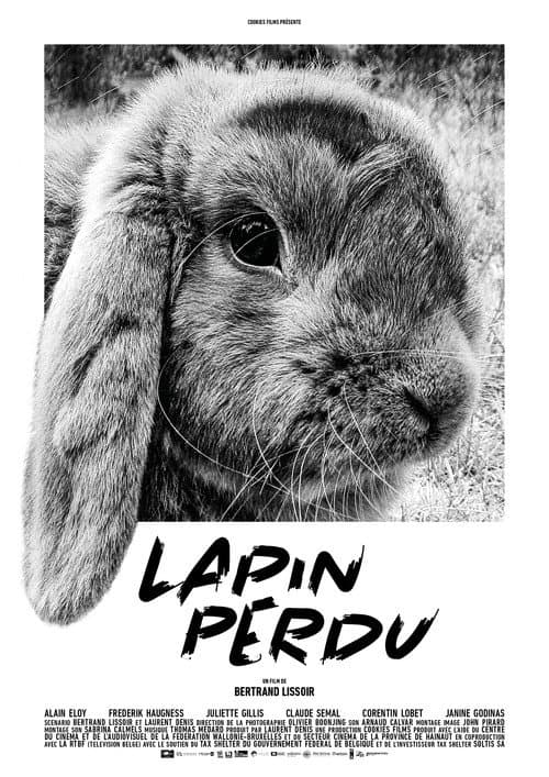 Lost Rabbit poster