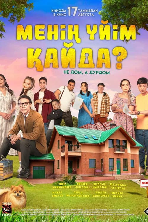 Where Is My Home? poster