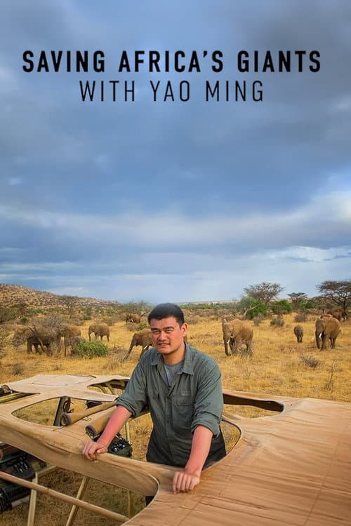 Saving Africa's Giants With Yao Ming poster