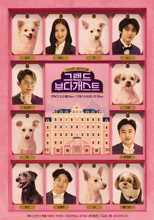 그랜드 부다개스트 poster
