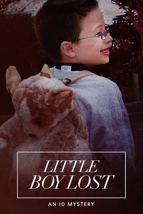 Little Boy Lost: An ID Mystery poster