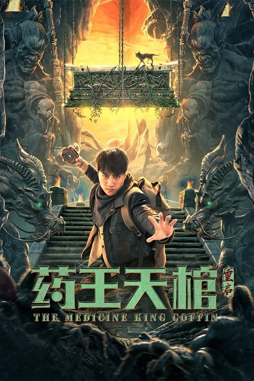 The Medicine King Coffin poster