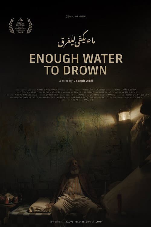 Enough Water to Drown poster