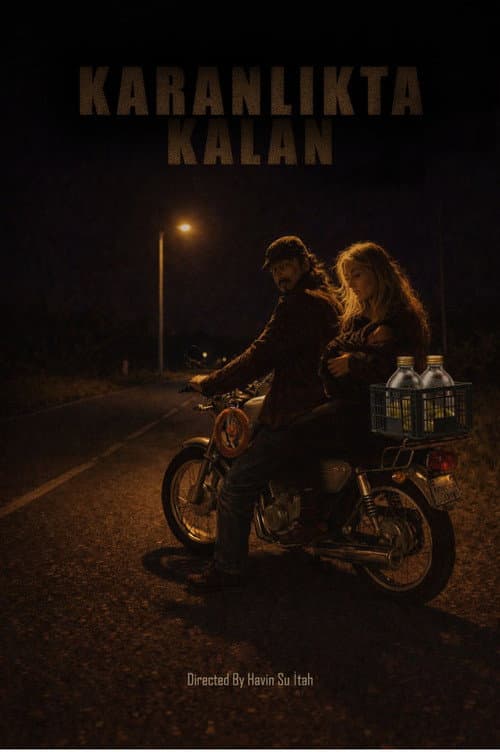 Left ın the Dark poster