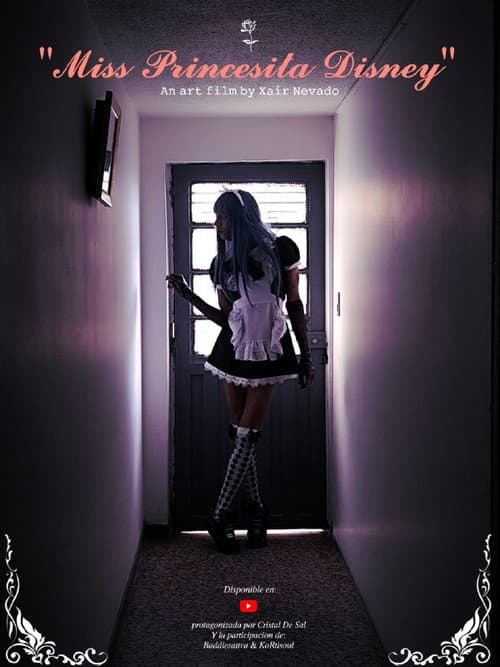 Poor "Miss Disney Princess" poster