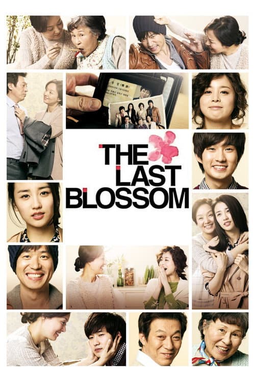 The Last Blossom poster