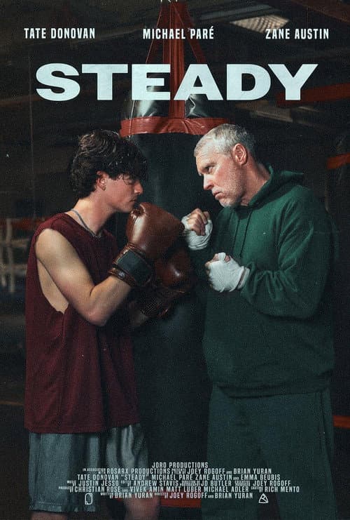 Steady poster