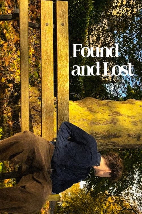 Found and Lost poster