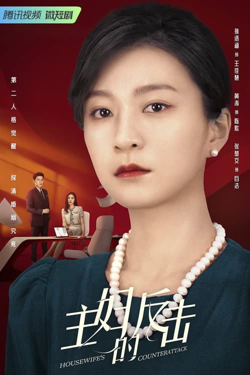 Housewife's Counterattack poster
