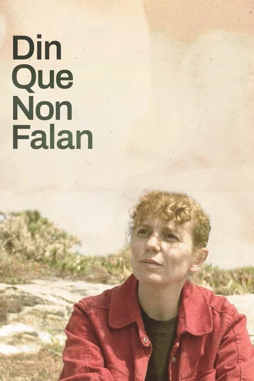 Din que non falan poster