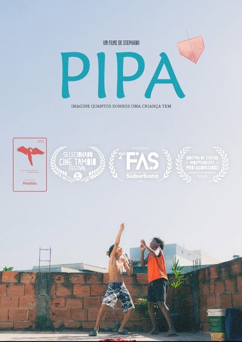 PIPA poster