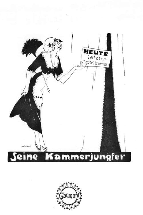 Seine Kammerjungfer poster