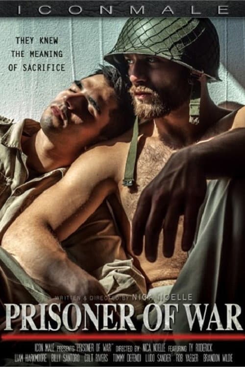 Prisoner of War poster
