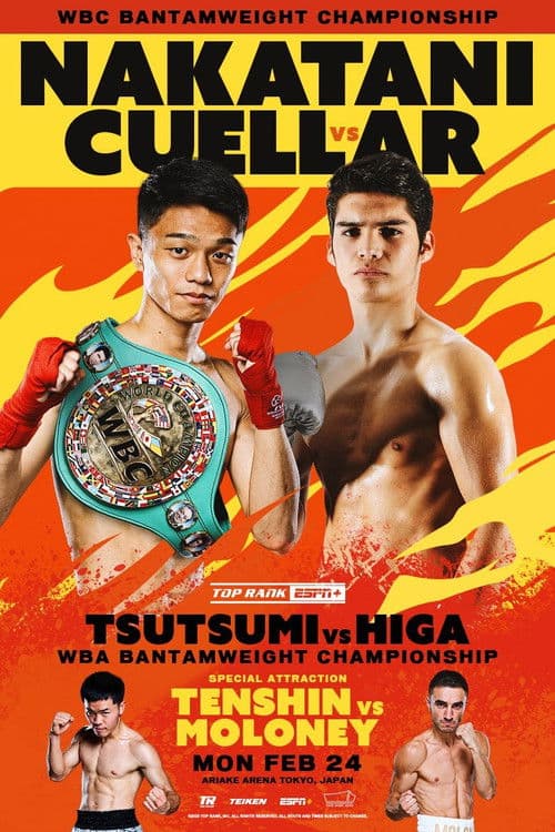 PRIME VIDEO BOXING 11 poster