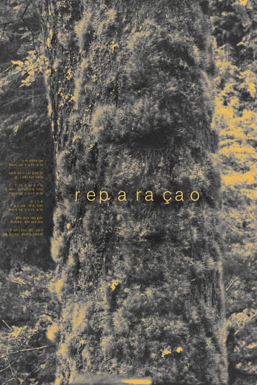 Reparação poster