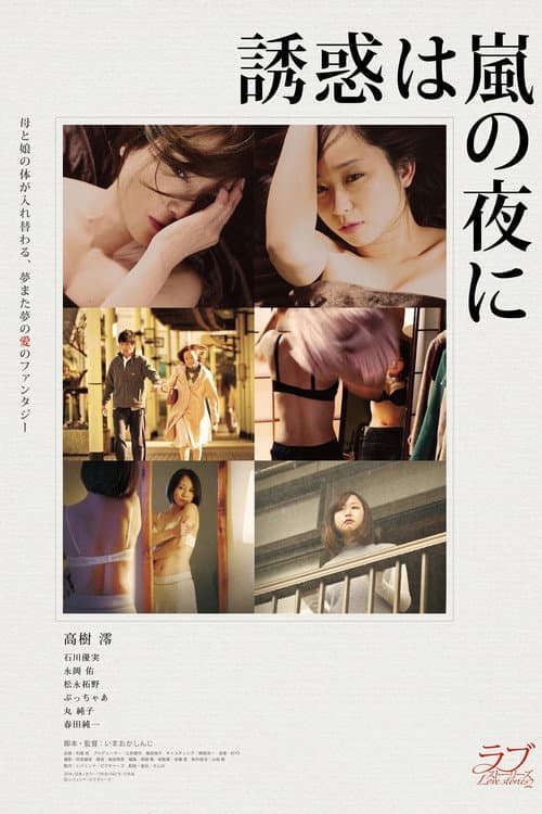 The Temptation Came at Stormy Night poster